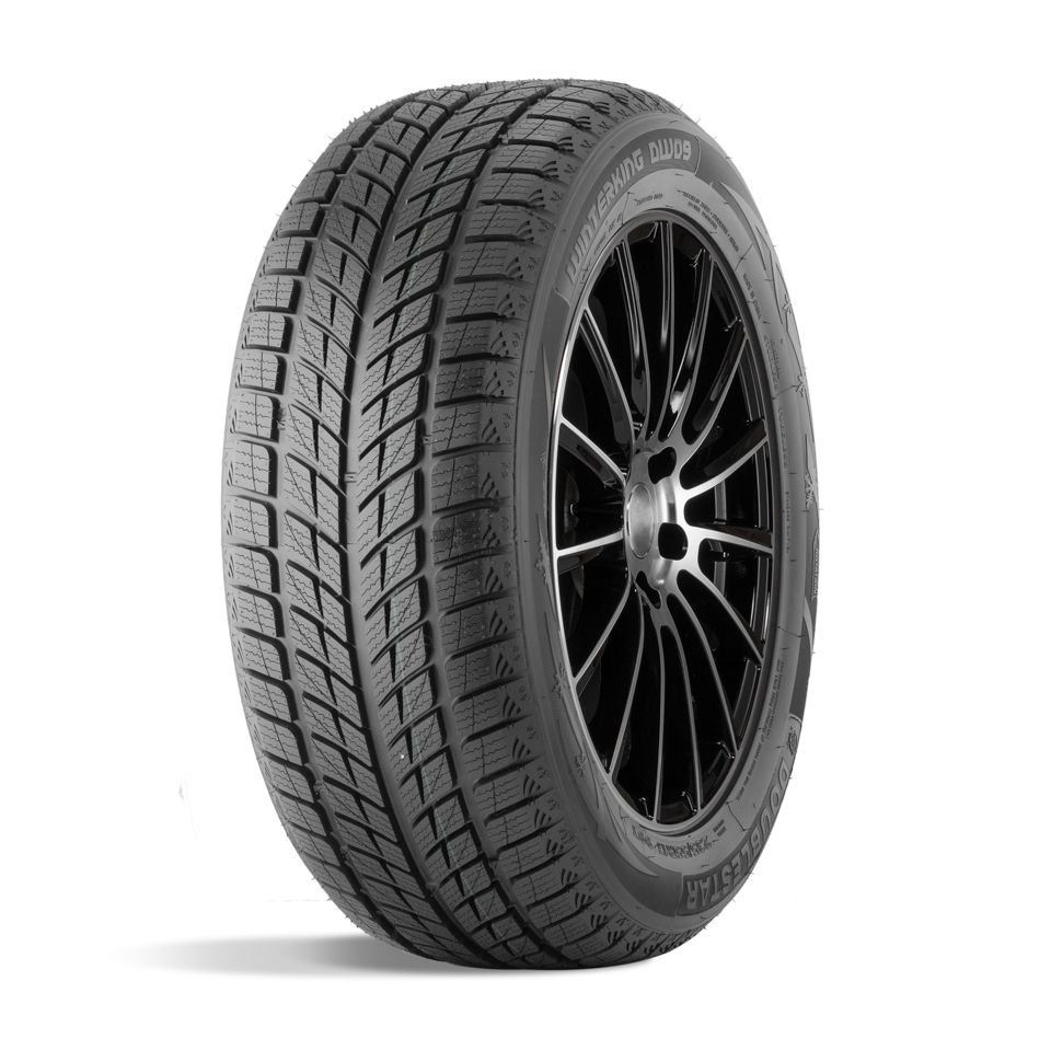 Doublestar DW09 275/40 R20 106V  